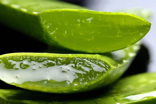 Top 13 Amazing Benefits of Aloe Vera - Benefits of Aloe Vera Gel and Juice, Side Effects 1 benefits of aloe vera