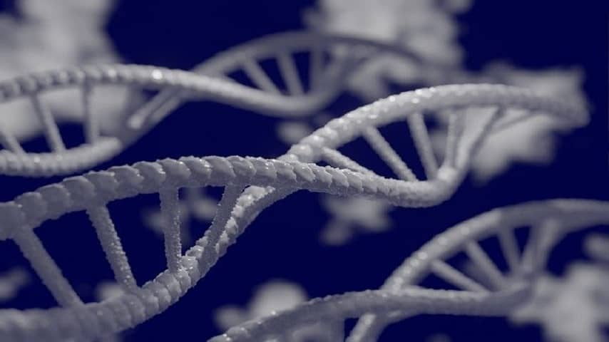 Top 10 Best Branches Of Biology And Main Areas Of Biology 9 Genetics