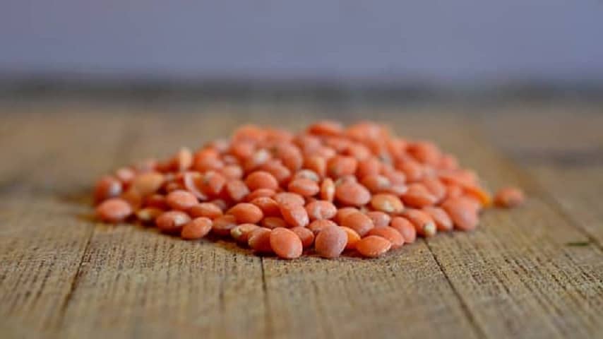 Top 10 Best And Delicious Protein Rich Foods To Eat In Your Diet 17 Lentils