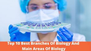 Top 10 Best Branches Of Biology And Main Areas Of Biology