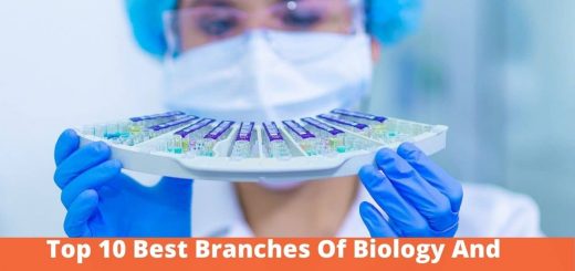 Top 10 Best Branches Of Biology And Main Areas Of Biology