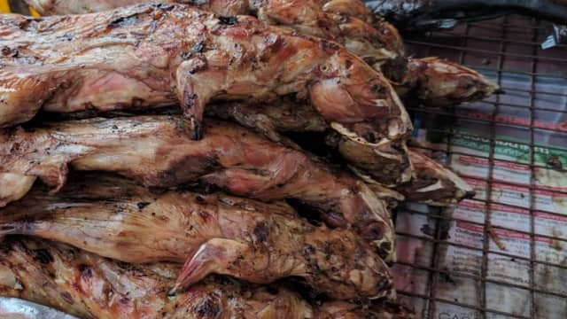 Top 10 Shocking Fake Foods China is Selling You Won't Believe Exist 9 Fake Rat Meat