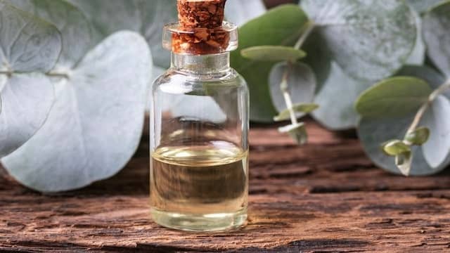 Top 10 Best Essential Oils For Skin Care Which Increases Your Skin Life 1 Eucalyptus Essential Oil