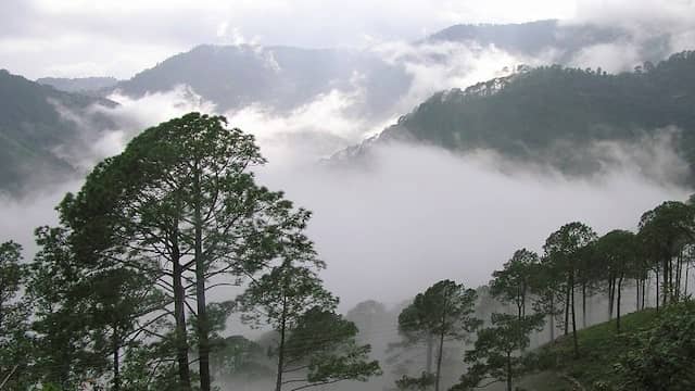 Top 10 Underrated Travel Destinations In India That You Should Visit Once in a Lifetime 9 Lambasingi