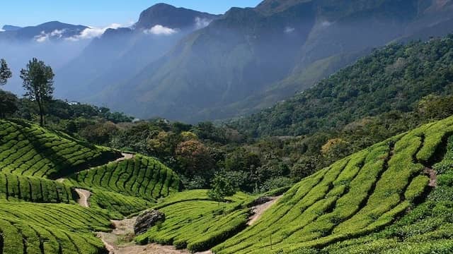 Top 10 Underrated Travel Destinations In India That You Should Visit Once in a Lifetime 5 Valparai