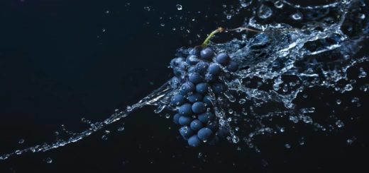 Top 10 Rarest Fruit In The World