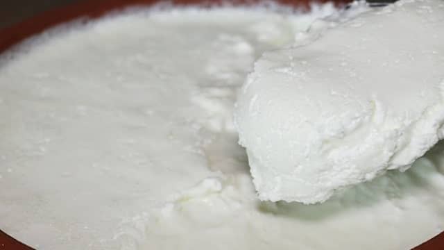 Curd