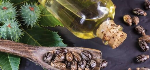 Castor Oil for Hair and Skin