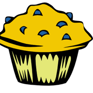 SYED HUSSAIN RAZA ZAIDI